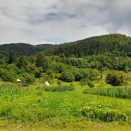 Pensiunea Sanziene Strîmtura Buitenkant foto