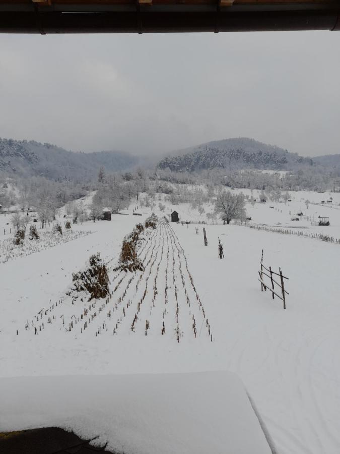 Pensiunea Sanziene Strîmtura Buitenkant foto