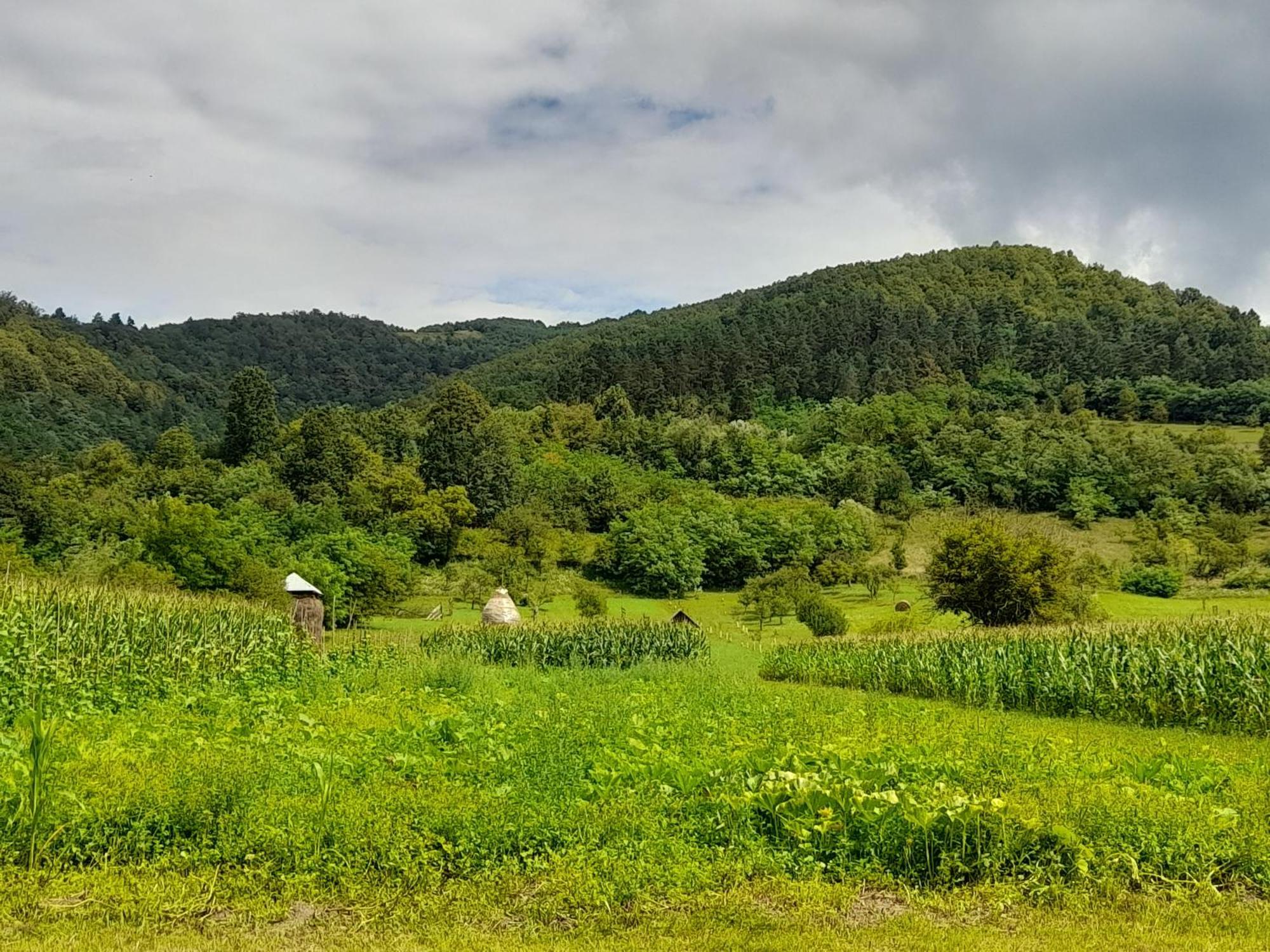 Pensiunea Sanziene Strîmtura Buitenkant foto