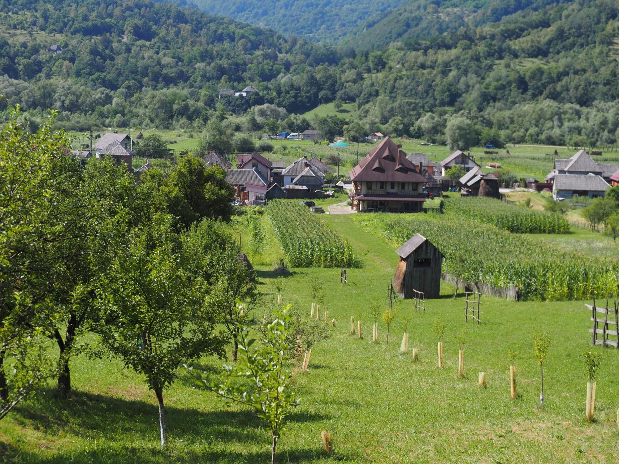 Pensiunea Sanziene Strîmtura Buitenkant foto