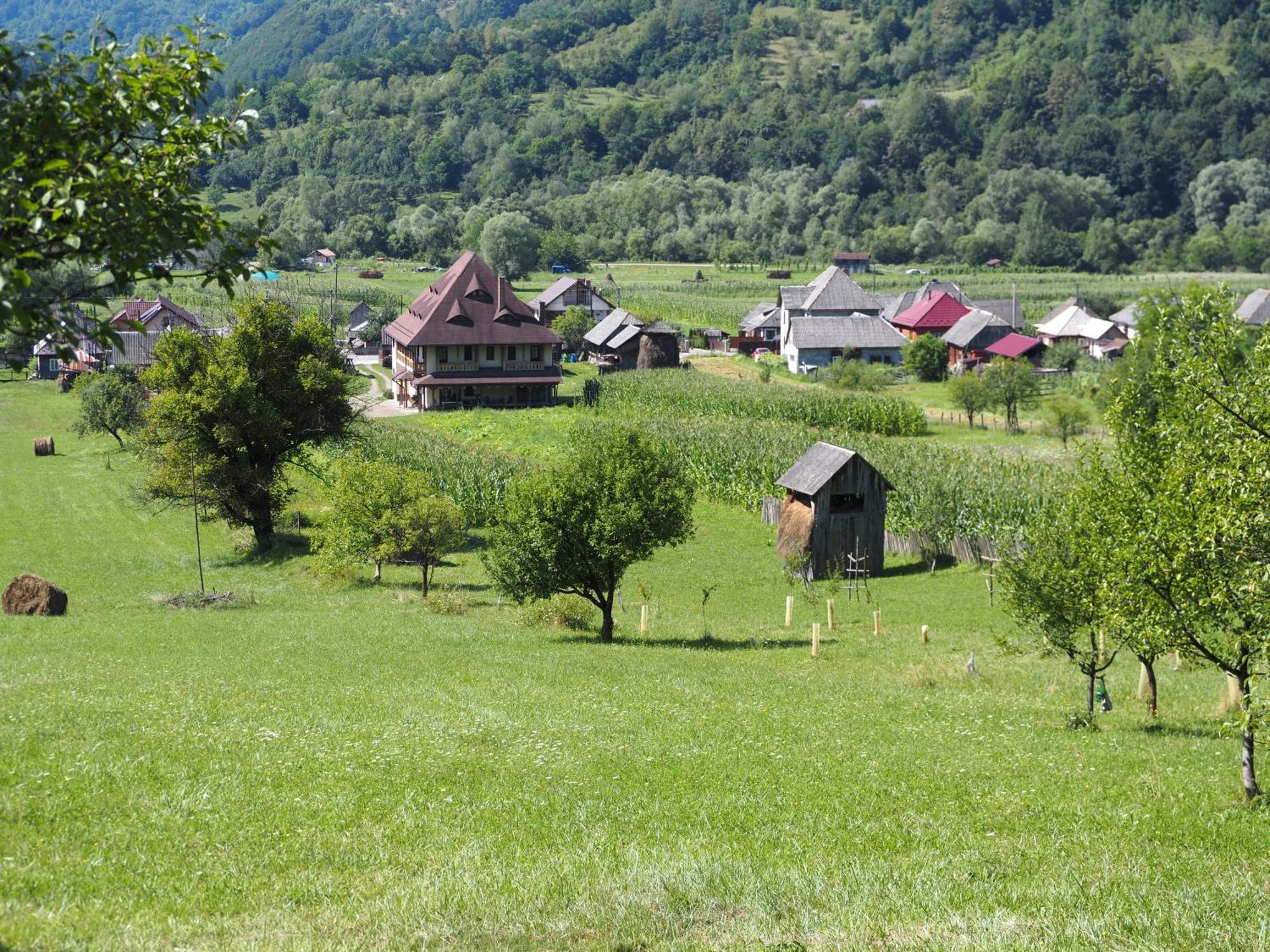 Pensiunea Sanziene Strîmtura Buitenkant foto