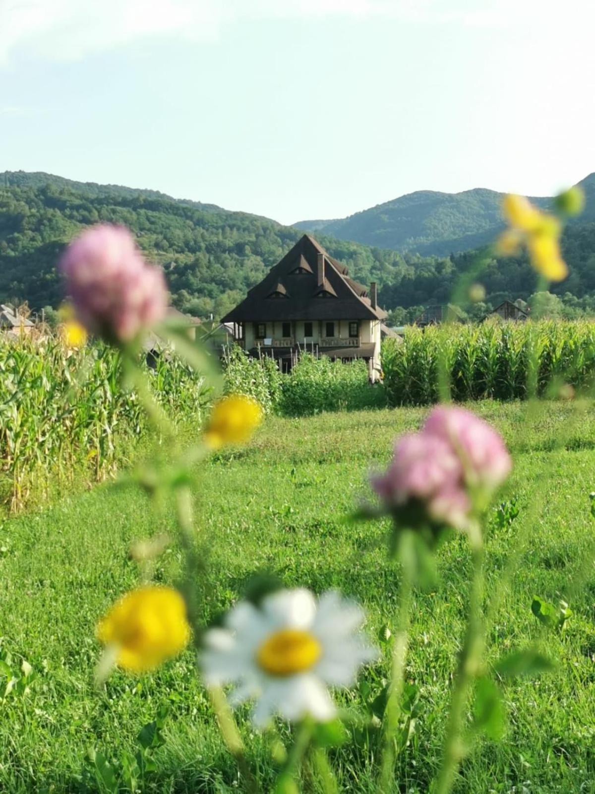 Pensiunea Sanziene Strîmtura Buitenkant foto